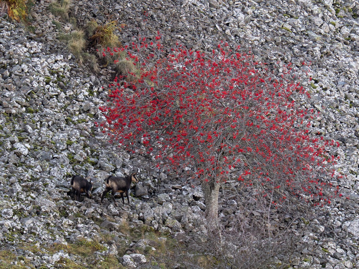 05112025-05 10 25 (7).jpg